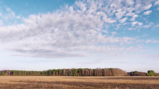 Comienzo Primavera Nubes Flotan Sobre Campo — Vídeos de Stock