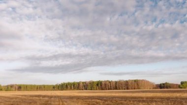 baharın başlangıcı. bulutlar alan üzerinde yüzen.