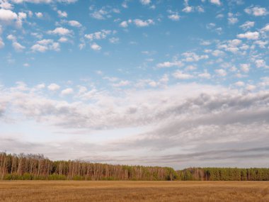 baharın başlangıcı. bulutlar alan üzerinde yüzen.