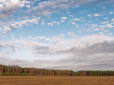 baharın başlangıcı. bulutlar alan üzerinde yüzen.