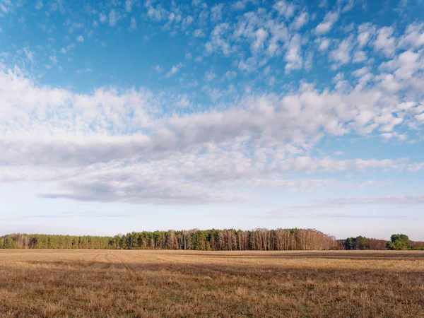 The beginning of spring. clouds are floating over the field. — Stock Photo, Image