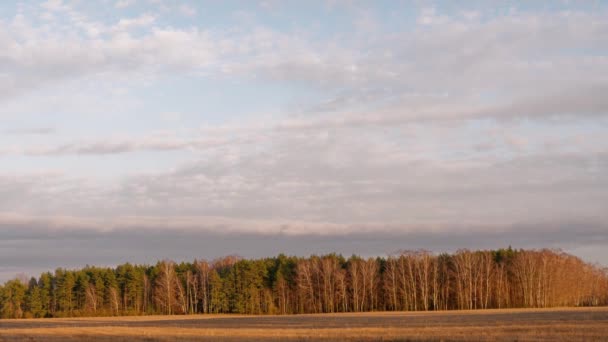 Comienzo Primavera Nubes Flotan Sobre Campo — Vídeo de stock