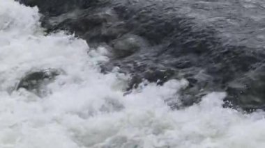 kaba nehir. su Rapids hızlı hareket.