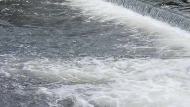 Грубая Река Пороги Быстрого Движения Воды — стоковое видео