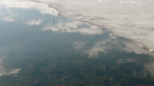 Jaro Vody Ledu Obloha Odráží Vodě — Stock video