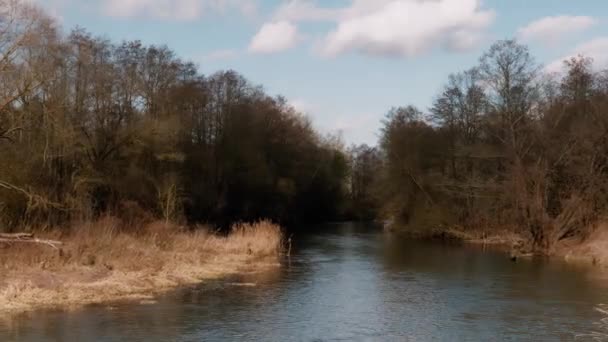 Την Αρχή Της Άνοιξης Άγρια Γρήγορη Ποτάμι Ανάμεσα Συστάδες — Αρχείο Βίντεο