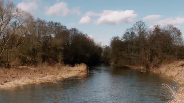 Frühlingsanfang Wilder Schneller Fluss Dickicht — Stockvideo