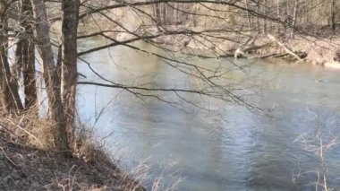 baharın başlangıcı. çalılıkları arasında vahşi hızlı Nehri