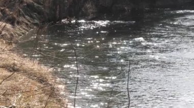 baharın başlangıcı. çalılıkları arasında vahşi hızlı Nehri