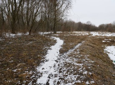 Baharın başlangıcı. Çayırdaki çalılıklarda eritilmiş yamalar.
