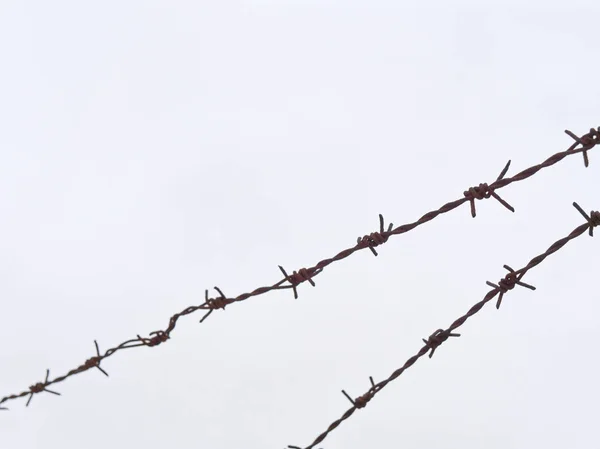 High fence with barbed wire on a white background. — Stock Photo, Image