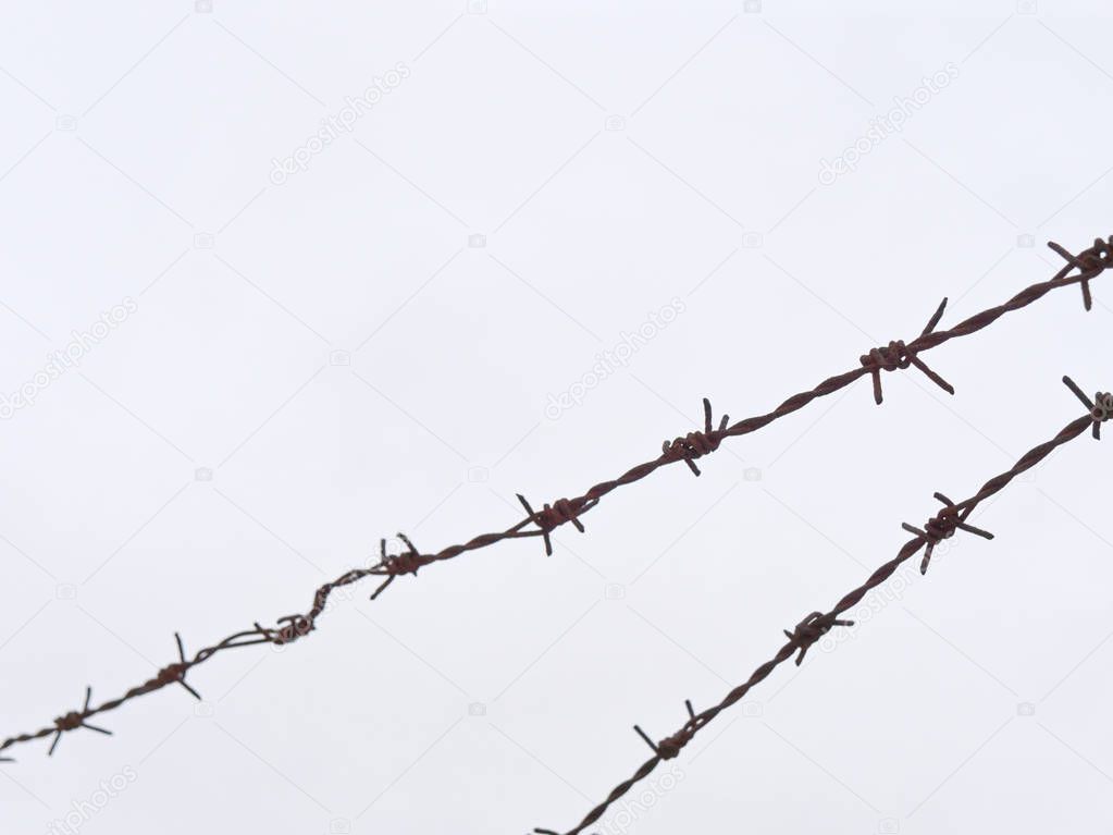 high fence with barbed wire on a white background.