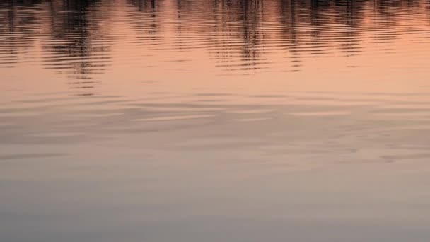 Roter Sonnenuntergang Über Dem Wasser Eines Dorfsees — Stockvideo