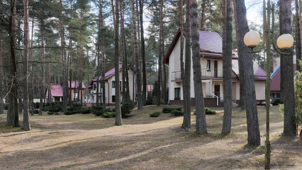 GRODNO, BÉLARO - 2 DE MARZO DE 2019: Sanatorio ENERGETIK. Edificios residenciales en el bosque de pinos . — Foto de Stock