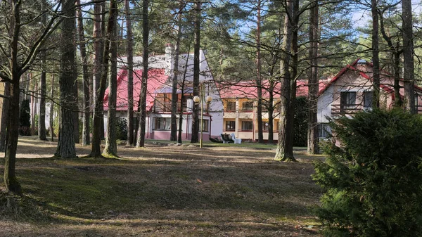 GRODNO, BÉLARO - 2 DE MARZO DE 2019: Sanatorio ENERGETIK. Edificios residenciales en el bosque de pinos . — Foto de Stock