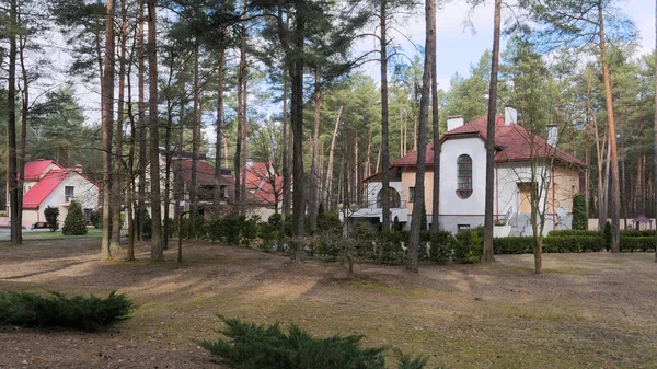 Grodno, Bělorusko - 2. března 2019: Sanatorium Energetik. Obytné budovy v borovém lese. — Stock fotografie