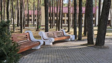 Grodno, Belarus - 2 Mart 2019: Sanatoryum Energetik. Çam ormanı içinde konut.