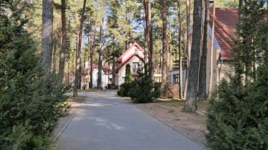Grodno, Belarus - 2 Mart 2019: Sanatoryum Energetik. Çam ormanı içinde konut.