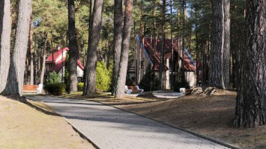 Grodno, Belarus - 2 Mart 2019: Sanatoryum Energetik. Çam ormanı içinde konut.