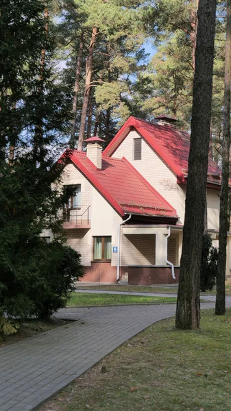 Grodno, Bělorusko - 2. března 2019: Sanatorium Energetik. Obytné budovy v borovém lese. — Stock fotografie