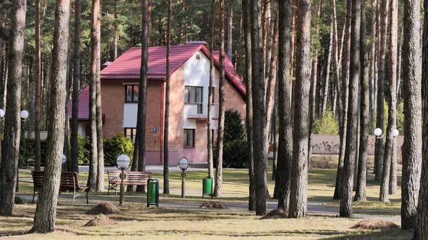 Grodno, Weißrussland - 2. März 2019: Sanatorium energetik. Wohngebäude im Kiefernwald. — Stockfoto