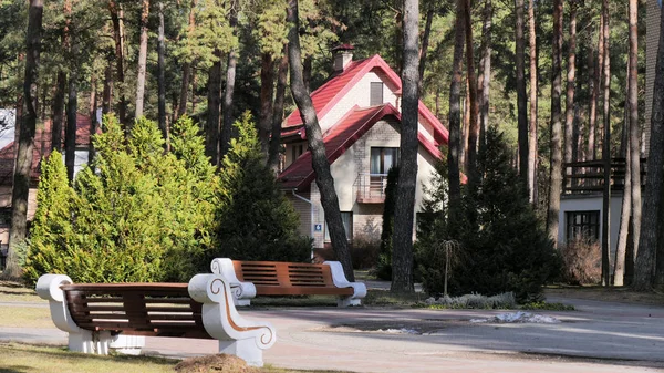 Grodno, Bělorusko - 2. března 2019: Sanatorium Energetik. Obytné budovy v borovém lese. — Stock fotografie