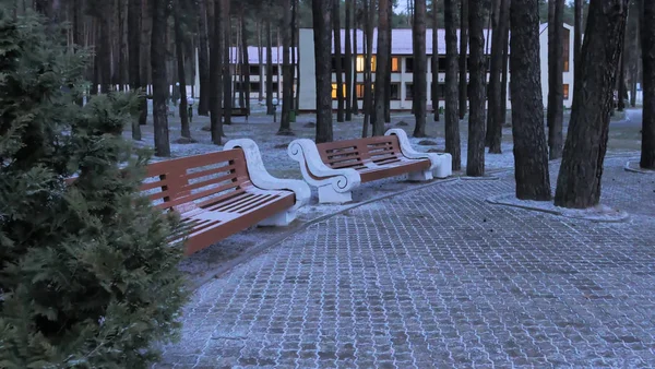 GRODNO, BÉLARO - 2 DE MARZO DE 2019: Sanatorio ENERGETIK. Edificios residenciales en el bosque de pinos . —  Fotos de Stock