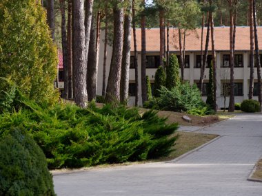 Grodno, Belarus - 2 Mart 2019: Sanatoryum Energetik. Çam ormanı içinde konut.