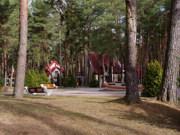 GRODNO, BELARUS - 2 de março de 2019: Sanatório ENERGETIK. Prédios residenciais na floresta de pinheiros . — Fotografia de Stock