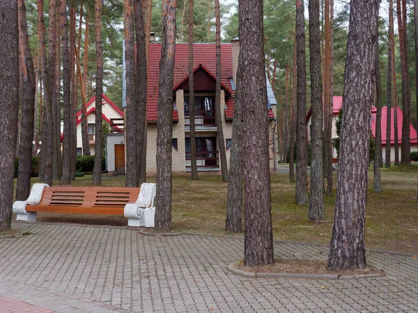 GRODNO, BÉLARO - 2 DE MARZO DE 2019: Sanatorio ENERGETIK. Edificios residenciales en el bosque de pinos . — Foto de Stock