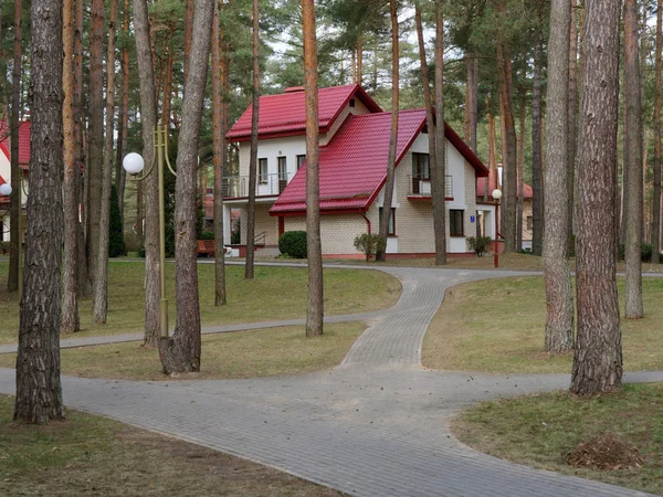 Grodno, Bělorusko - 2. března 2019: Sanatorium Energetik. Obytné budovy v borovém lese. — Stock fotografie