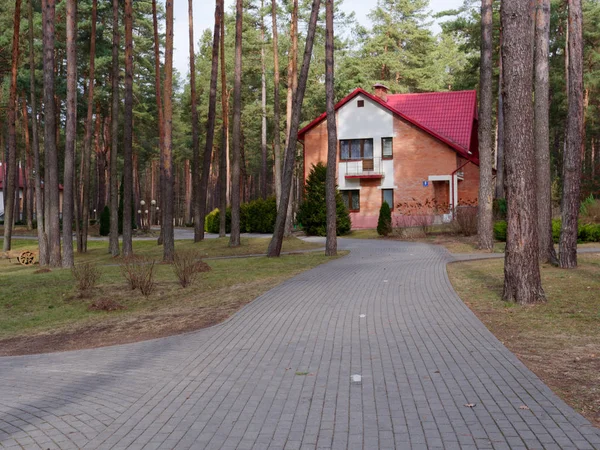 Grodno, Bělorusko - 2. března 2019: Sanatorium Energetik. Obytné budovy v borovém lese. — Stock fotografie