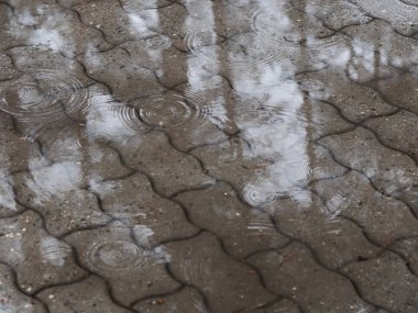 kiremit yoldaki su birikintileri. Hafif Dondurucu Çiseleme.