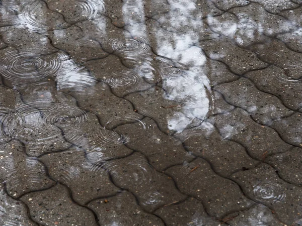 puddles on the tile path. drizzle light rain.