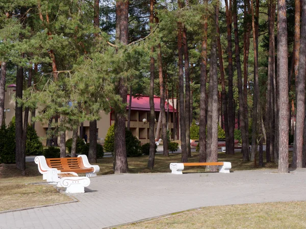 Grodno Weißrussland März 2019 Sanatorium Energetik Wohngebäude Kiefernwald — Stockfoto