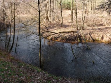 baharın başlangıcı. çalılıkları arasında vahşi hızlı Nehri