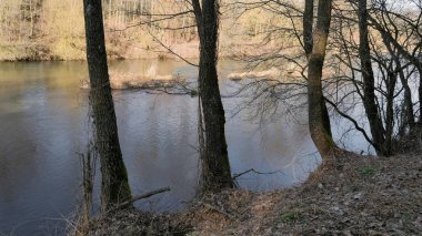 baharın başlangıcı. çalılıkları arasında vahşi hızlı Nehri