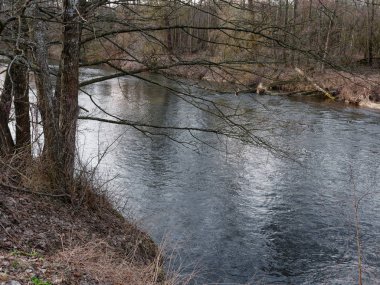 baharın başlangıcı. çalılıkları arasında vahşi hızlı Nehri