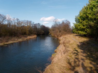 baharın başlangıcı. çalılıkları arasında vahşi hızlı Nehri