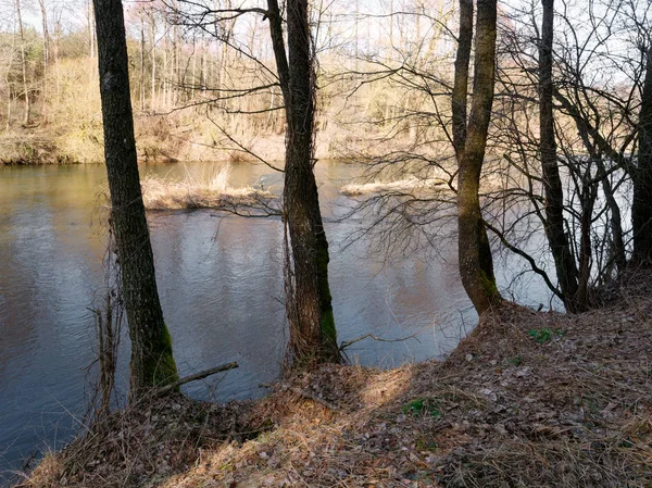 baharın başlangıcı. çalılıkları arasında vahşi hızlı Nehri