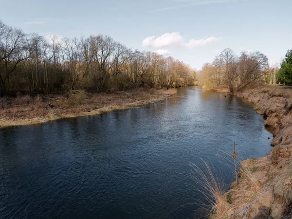 baharın başlangıcı. çalılıkları arasında vahşi hızlı Nehri