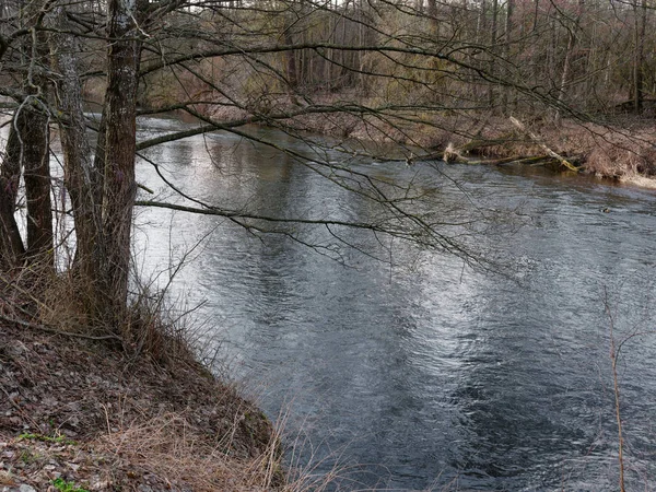 baharın başlangıcı. çalılıkları arasında vahşi hızlı Nehri