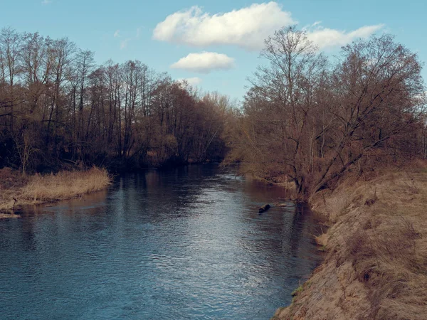 Začátek jara. divoká řeka rychle mezi houštiny — Stock fotografie