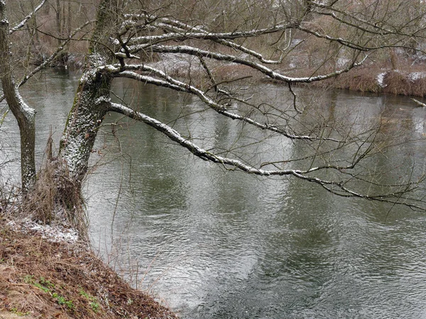 Frühlingsanfang. wilder schneller Fluss im Dickicht — Stockfoto