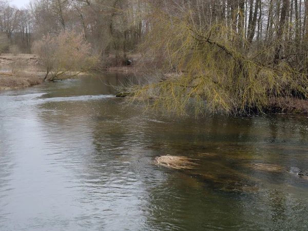 O início da primavera. rio rápido selvagem entre as moitas — Fotografia de Stock