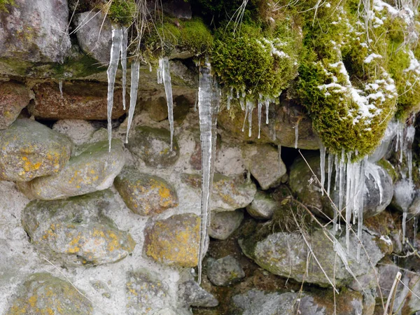 Yeşil yosun ve taşlar. Bahar buz sarkıtları damlayan — Stok fotoğraf