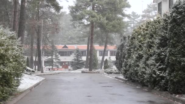 Grodno Bělorusko Března 2019 Sanatorium Energetik Obytné Budovy Borovém Lese — Stock video