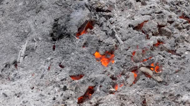 Ash Coals Strong Fire — Stock Video