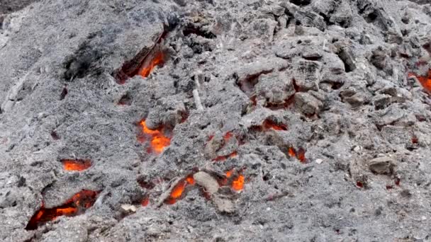 Asche Und Kohlen Aus Einem Starken Feuer — Stockvideo