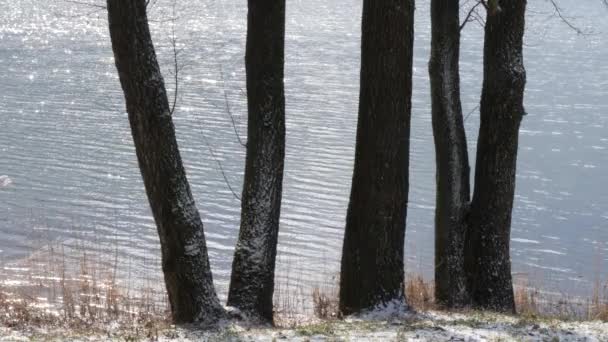 Agua Purpurina Superficie Del Lago Primavera — Vídeos de Stock